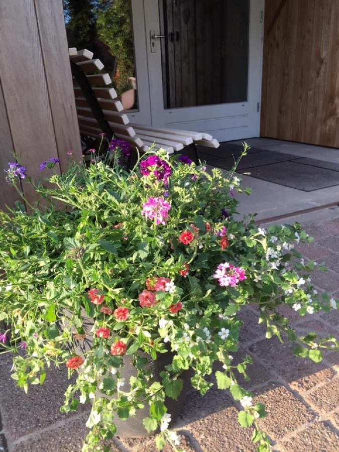 Erve Toon'Boer Bed & Breakfast Mander Exterior foto